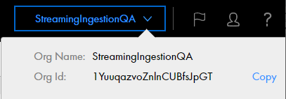 Shows a sample organization ID.